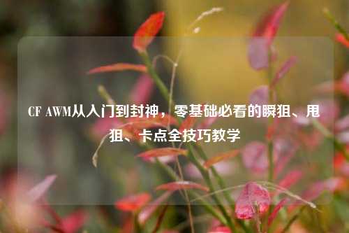 CF AWM从入门到封神，零基础必看的瞬狙、甩狙、卡点全技巧教学
