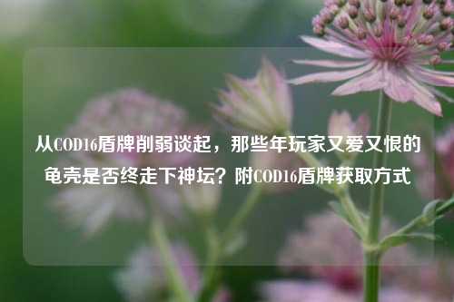 从COD16盾牌削弱谈起，那些年玩家又爱又恨的龟壳是否终走下神坛？附COD16盾牌获取方式
