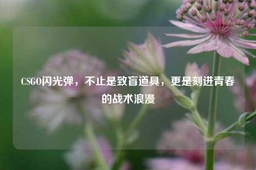 CSGO闪光弹，不止是致盲道具，更是刻进青春的战术浪漫