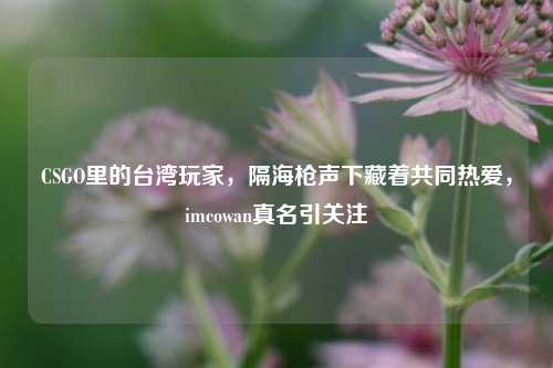 CSGO里的台湾玩家,隔海枪声下藏着共同热爱,imcowan真名引关注