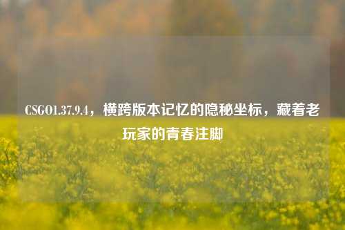 CSGO1.37.9.4,横跨版本记忆的隐秘坐标,藏着老玩家的青春注脚