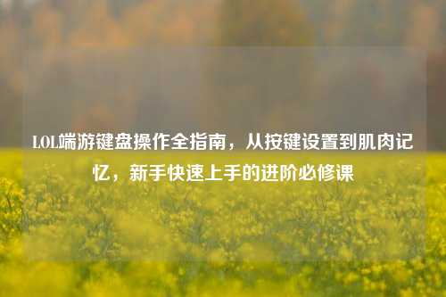 LOL端游键盘操作全指南,从按键设置到肌肉记忆,新手快速上手的进阶必修课