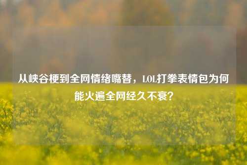 从峡谷梗到全网情绪嘴替,LOL打拳表情包为何能火遍全网经久不衰?