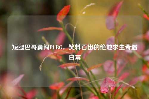 短腿巴哥勇闯PUBG，笑料百出的绝地求生奇遇日常