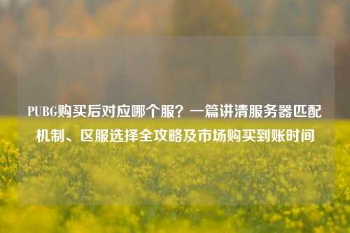 PUBG购买后对应哪个服？一篇讲清服务器匹配机制、区服选择全攻略及市场购买到账时间