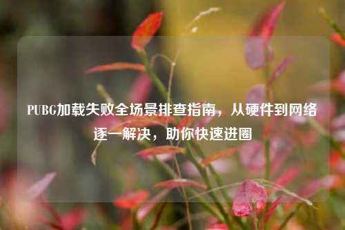 PUBG加载失败全场景排查指南，从硬件到网络逐一解决，助你快速进圈