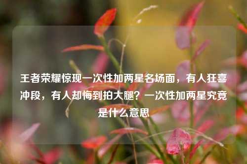 王者荣耀惊现一次性加两星名场面，有人狂喜冲段，有人却悔到拍大腿？一次性加两星究竟是什么意思