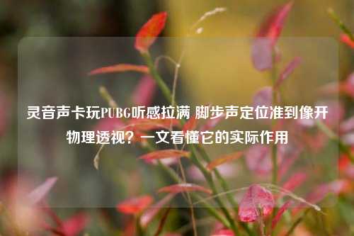 灵音声卡玩PUBG听感拉满 脚步声定位准到像开物理透视？一文看懂它的实际作用