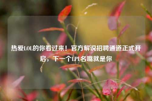 热爱LOL的你看过来!官方解说招聘通道正式开启,下一个LPL名嘴就是你