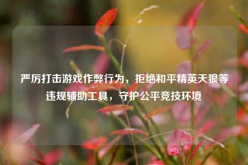 严厉打击游戏作弊行为,拒绝和平精英天狼等违规辅助工具,守护公平竞技环境