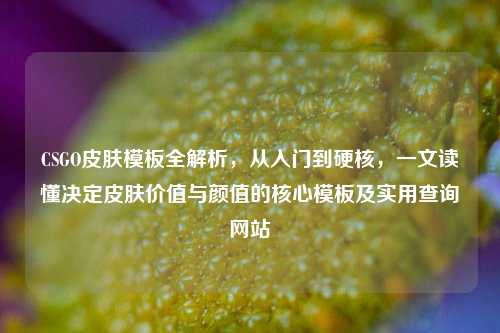 CSGO皮肤模板全解析,从入门到硬核,一文读懂决定皮肤价值与颜值的核心模板及实用查询网站