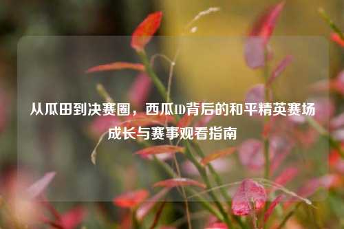 从瓜田到决赛圈，西瓜ID背后的和平精英赛场成长与赛事观看指南