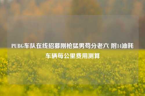 PUBG车队在线招募刚枪猛男苟分老六 附14油耗车辆每公里费用测算