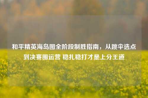 和平精英海岛图全阶段制胜指南，从跳伞选点到决赛圈运营 稳扎稳打才是上分王道