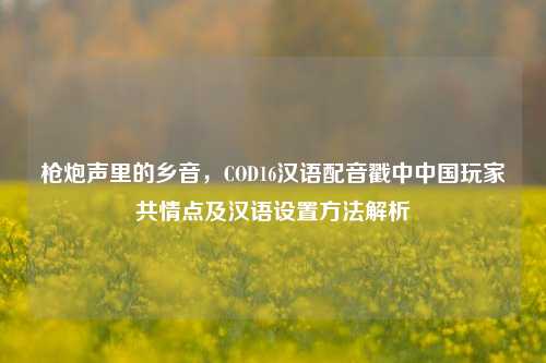 枪炮声里的乡音,COD16汉语配音戳中中国玩家共情点及汉语设置方法解析