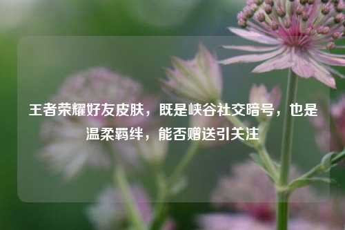 王者荣耀好友皮肤，既是峡谷社交暗号，也是温柔羁绊，能否赠送引关注