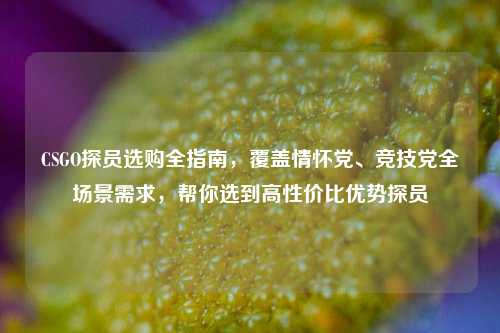 CSGO探员选购全指南，覆盖情怀党、竞技党全场景需求，帮你选到高性价比优势探员