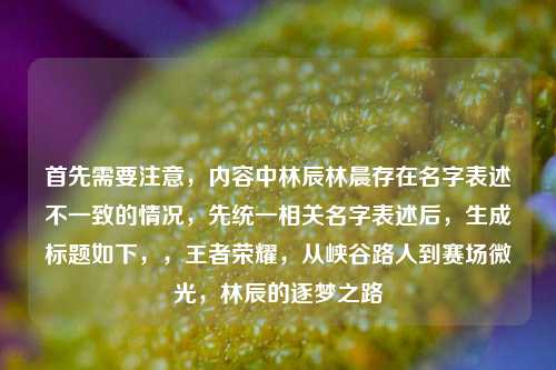首先需要注意，内容中林辰林晨存在名字表述不一致的情况，先统一相关名字表述后，生成标题如下，，王者荣耀，从峡谷路人到赛场微光，林辰的逐梦之路