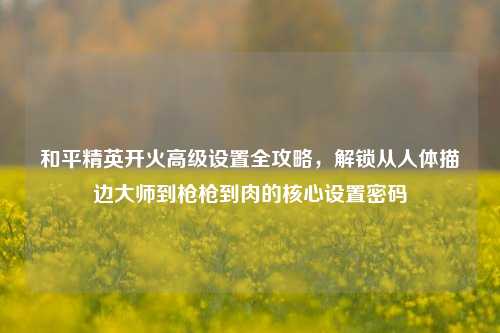 和平精英开火高级设置全攻略,解锁从人体描边大师到枪枪到肉的核心设置密码