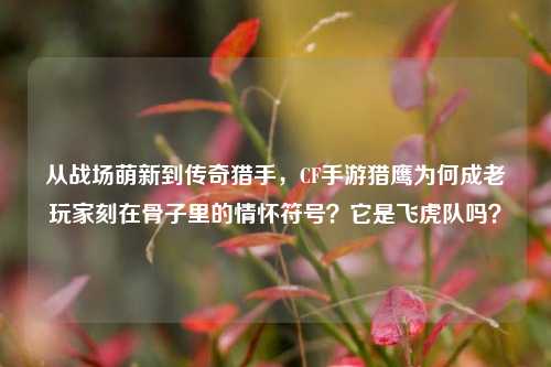 从战场萌新到传奇猎手,CF手游猎鹰为何成老玩家刻在骨子里的情怀符号?它是飞虎队吗?