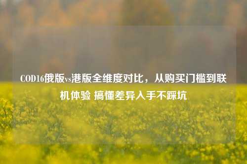 COD16俄版vs港版全维度对比,从购买门槛到联机体验 搞懂差异入手不踩坑