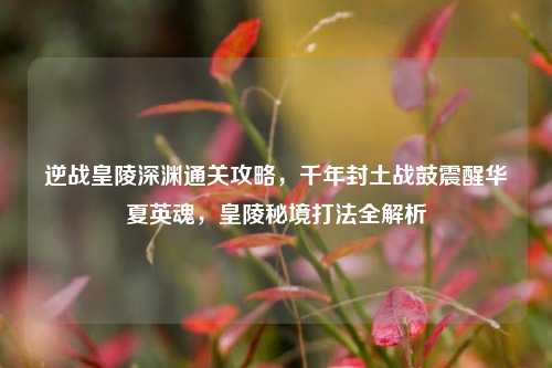 逆战皇陵深渊通关攻略,千年封土战鼓震醒华夏英魂,皇陵秘境打法全解析