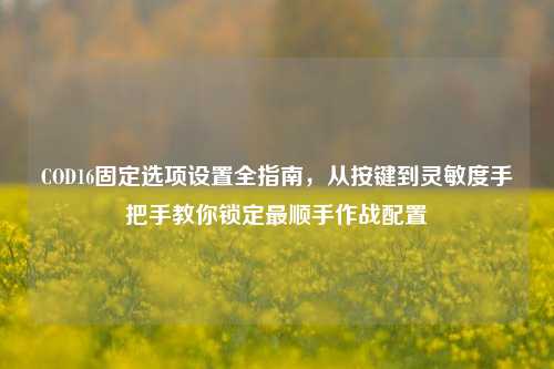 COD16固定选项设置全指南，从按键到灵敏度手把手教你锁定最顺手作战配置
