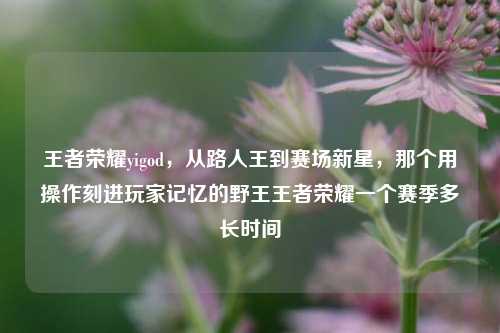 王者荣耀yigod，从路人王到赛场新星，那个用操作刻进玩家记忆的野王王者荣耀一个赛季多长时间