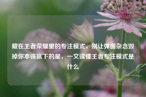 藏在王者荣耀里的专注模式，别让弹窗杂念毁掉你本该赢下的星，一文读懂王者专注模式是什么