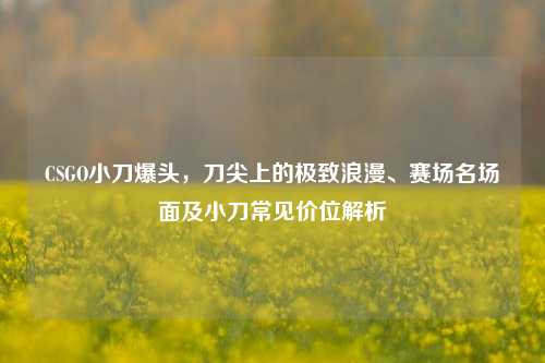 CSGO小刀爆头，刀尖上的极致浪漫、赛场名场面及小刀常见价位解析