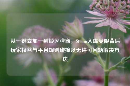 从一键喜加一到锁区弹窗，Steam入库受限背后玩家权益与平台规则碰撞及无许可问题解决方法