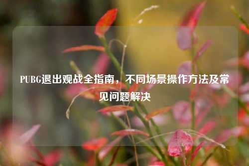 PUBG退出观战全指南，不同场景操作方法及常见问题解决