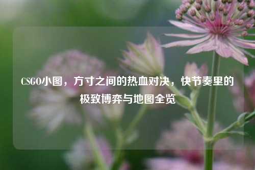 CSGO小图，方寸之间的热血对决，快节奏里的极致博弈与地图全览
