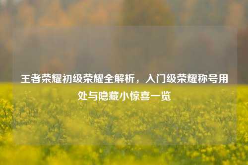 王者荣耀初级荣耀全解析，入门级荣耀称号用处与隐藏小惊喜一览