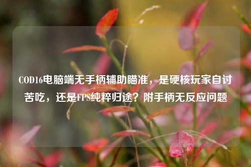 COD16电脑端无手柄辅助瞄准，是硬核玩家自讨苦吃，还是FPS纯粹归途？附手柄无反应问题