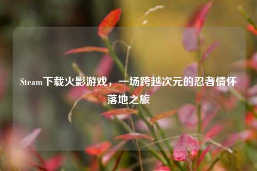Steam下载火影游戏,一场跨越次元的忍者情怀落地之旅
