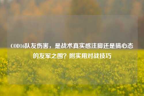 COD16队友伤害,是战术真实感注脚还是搞心态的友军之围?附实用对战技巧