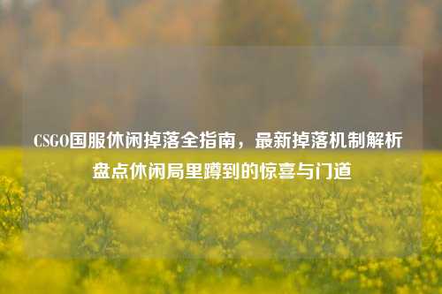 CSGO国服休闲掉落全指南，最新掉落机制解析 盘点休闲局里蹲到的惊喜与门道