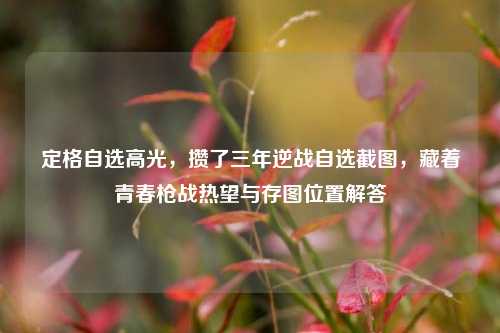 定格自选高光,攒了三年逆战自选截图,藏着青春枪战热望与存图位置解答
