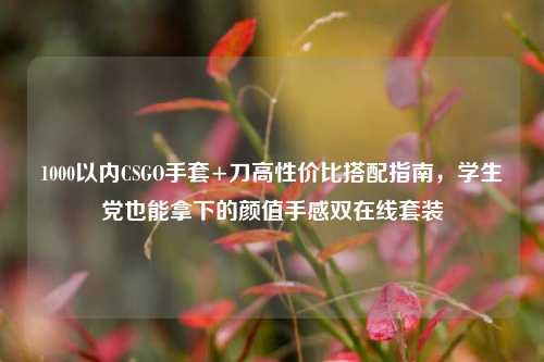 1000以内CSGO手套+刀高性价比搭配指南，学生党也能拿下的颜值手感双在线套装