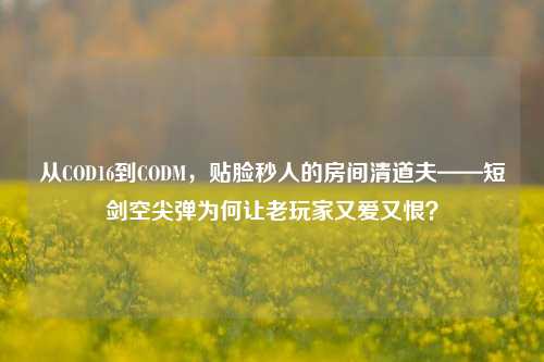 从COD16到CODM，贴脸秒人的房间清道夫——短剑空尖弹为何让老玩家又爱又恨？