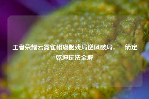 王者荣耀云霓雀翎虞姬残局逆风破局，一箭定乾坤玩法全解