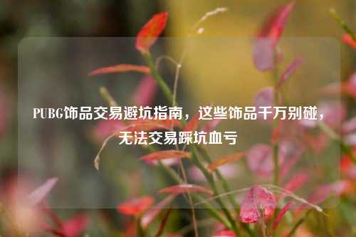 PUBG饰品交易避坑指南，这些饰品千万别碰，无法交易踩坑血亏