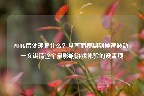 PUBG后处理是什么？从画面模糊到帧速波动，一文讲清这个最影响游戏体验的设置项
