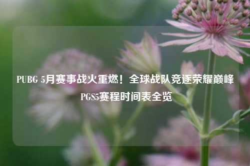 PUBG 5月赛事战火重燃！全球战队竞逐荣耀巅峰 PGS5赛程时间表全览