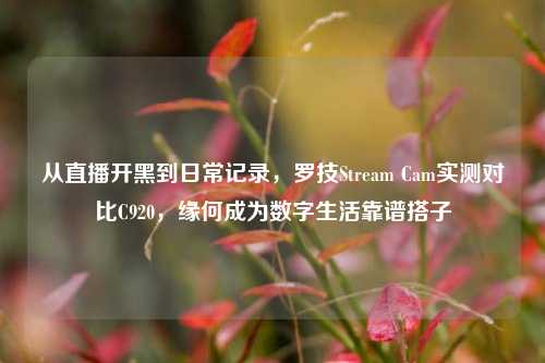 从直播开黑到日常记录，罗技Stream Cam实测对比C920，缘何成为数字生活靠谱搭子