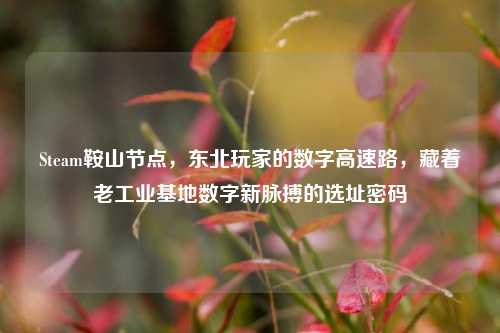 Steam鞍山节点，东北玩家的数字高速路，藏着老工业基地数字新脉搏的选址密码
