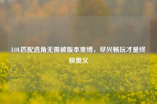 LOL匹配选角无需被版本束缚，尽兴畅玩才是终极奥义