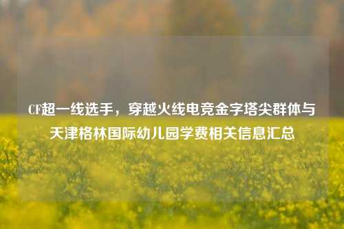 CF超一线选手，穿越火线电竞金字塔尖群体与天津格林国际幼儿园学费相关信息汇总