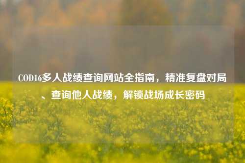 COD16多人战绩查询网站全指南,精准复盘对局、查询他人战绩,解锁战场成长密码